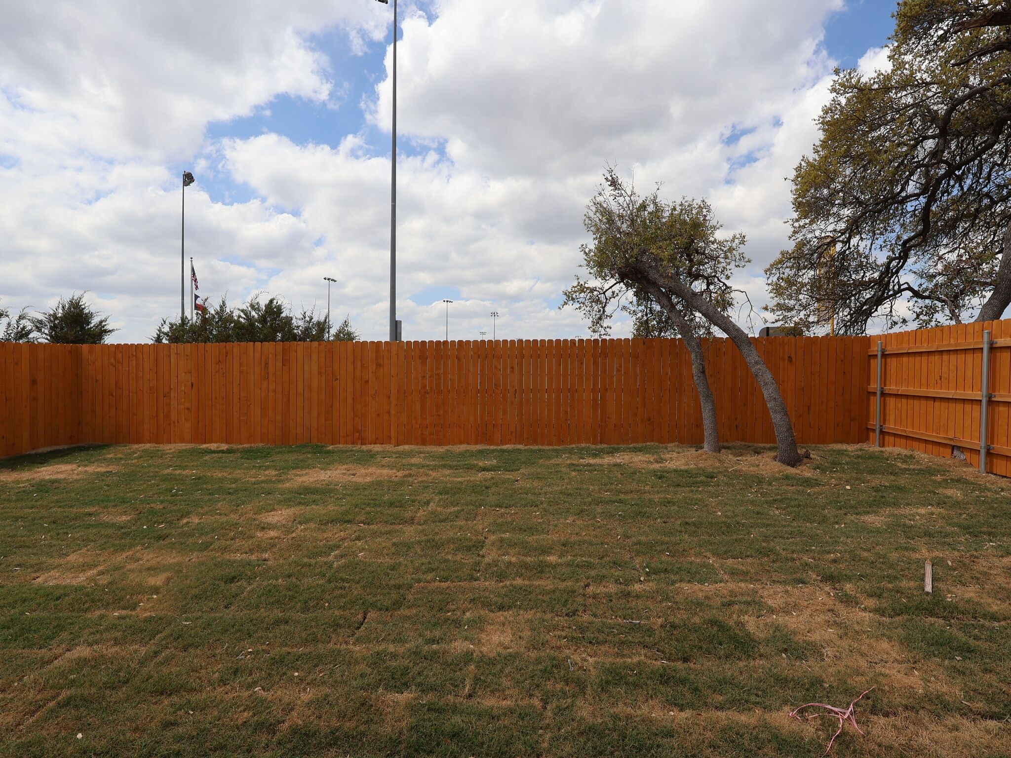 Backyard