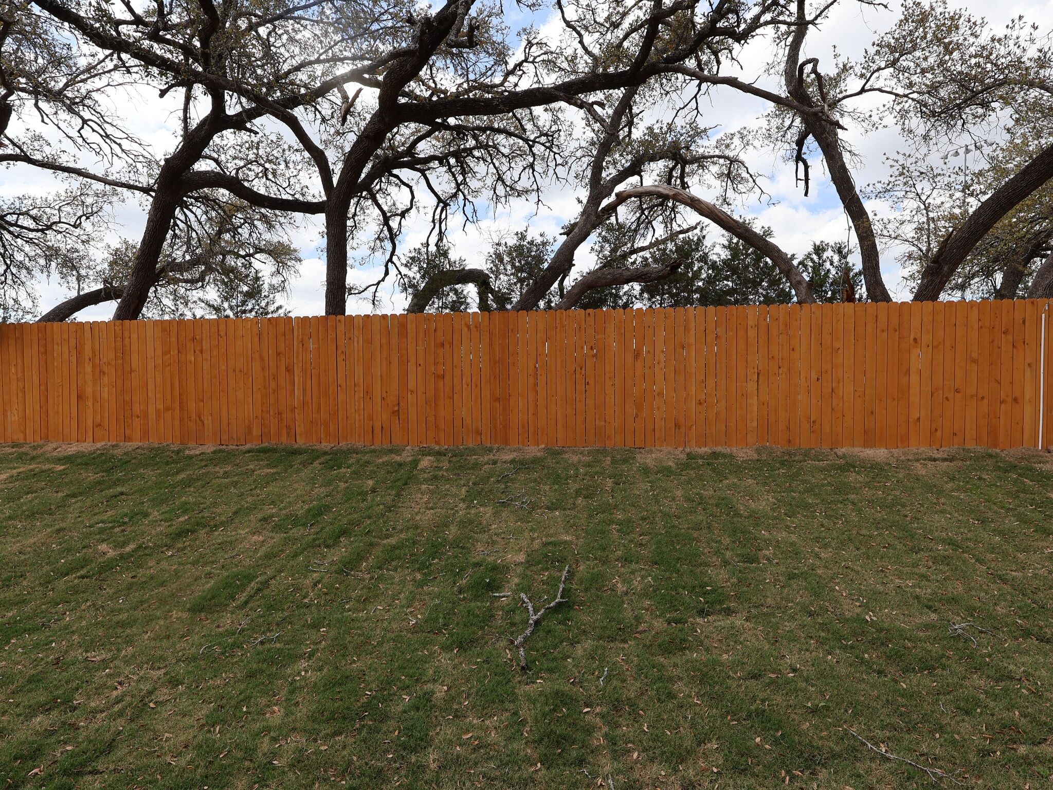 Backyard