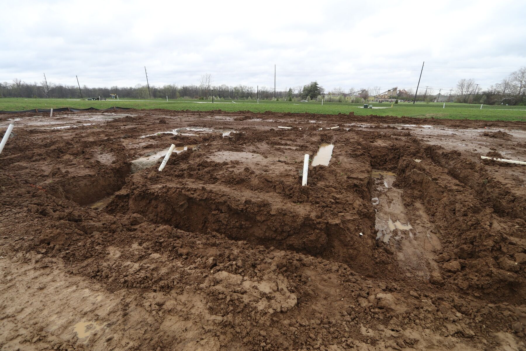 Homesite