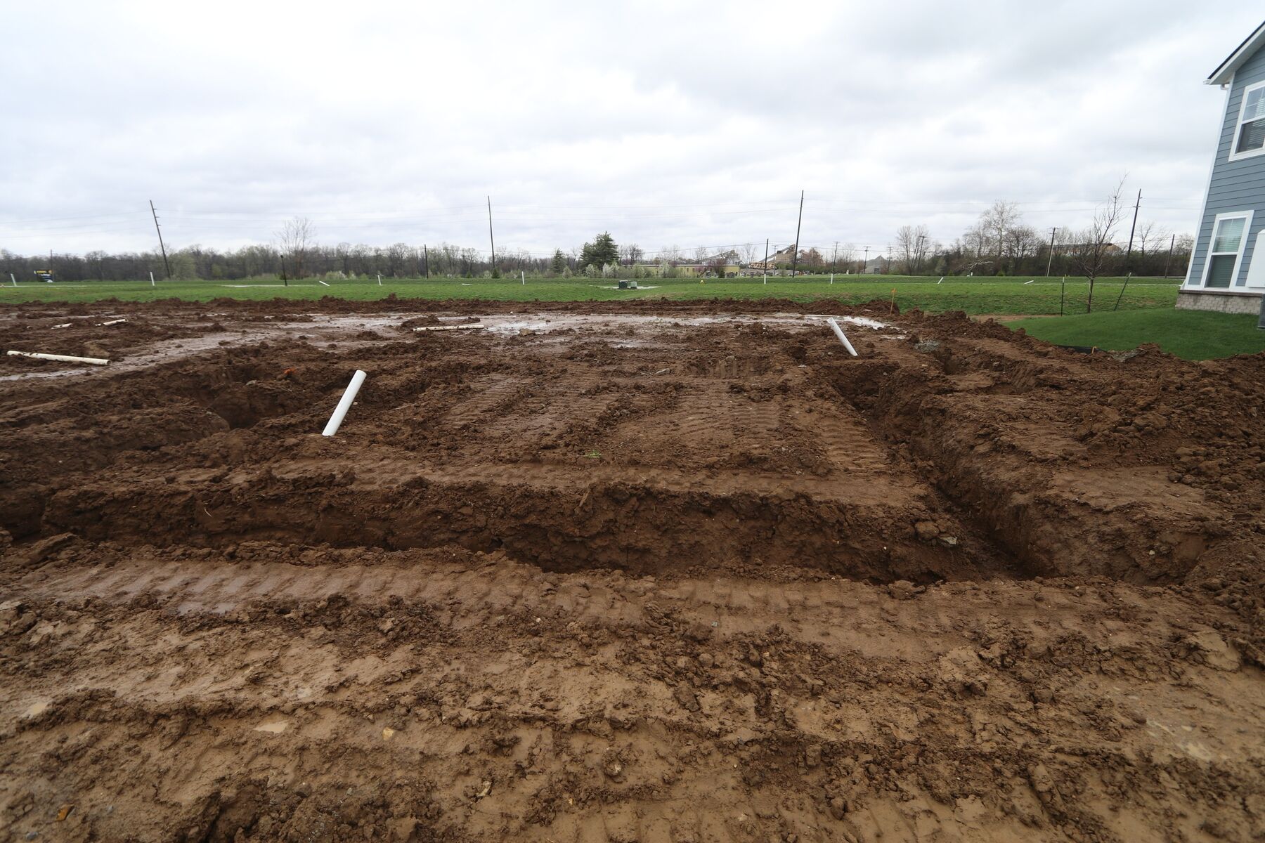 Homesite