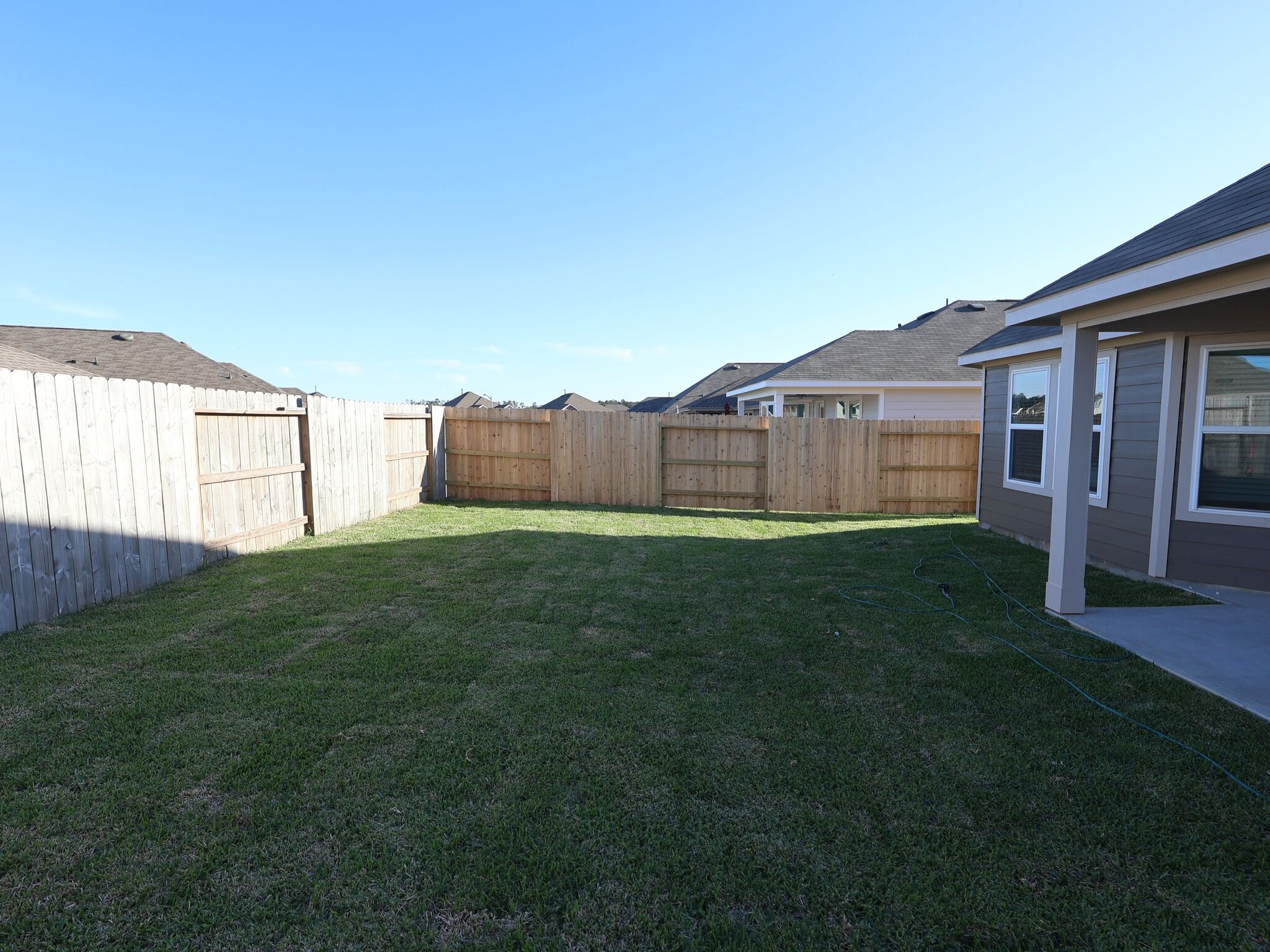 Backyard