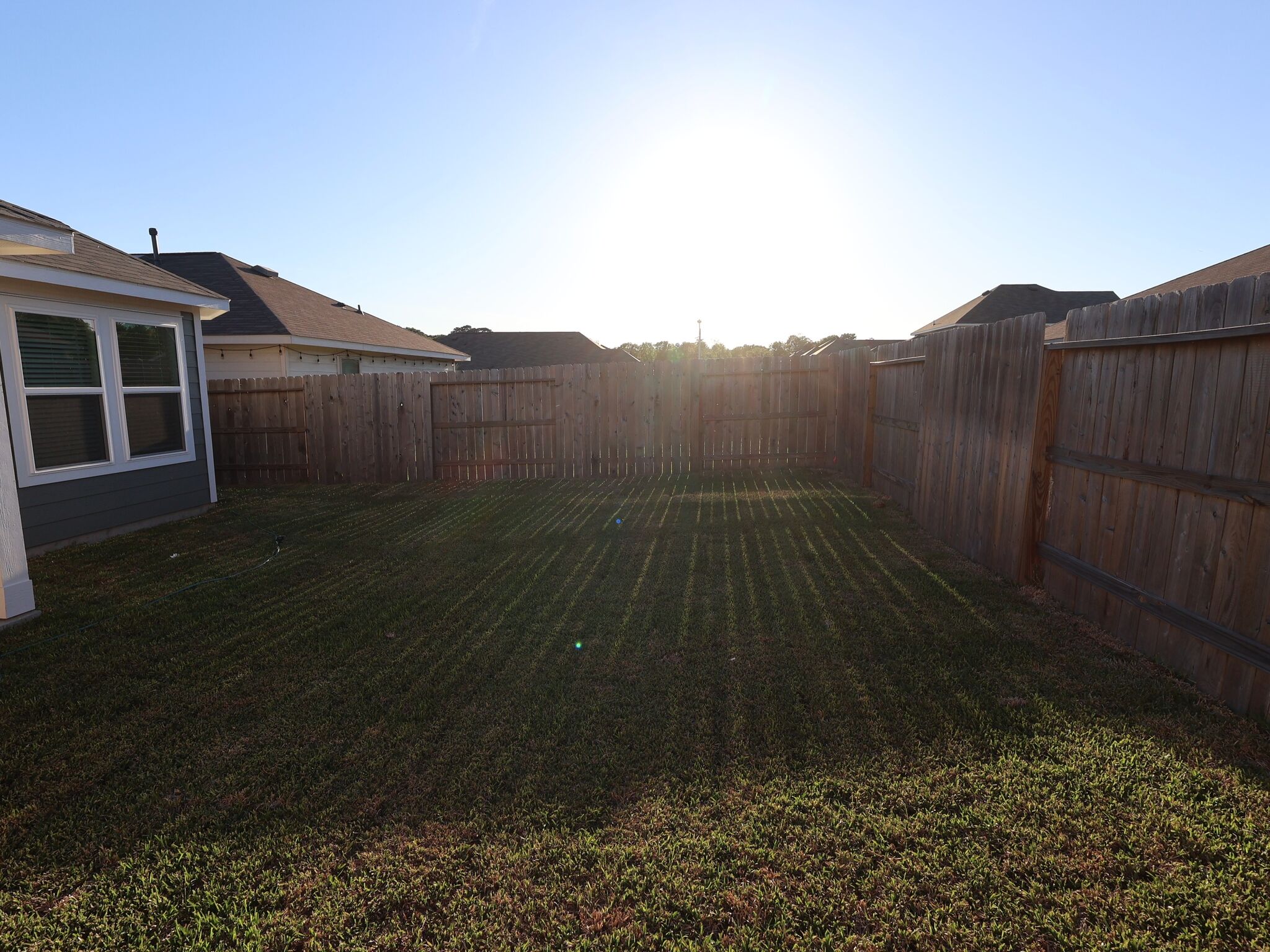 Backyard