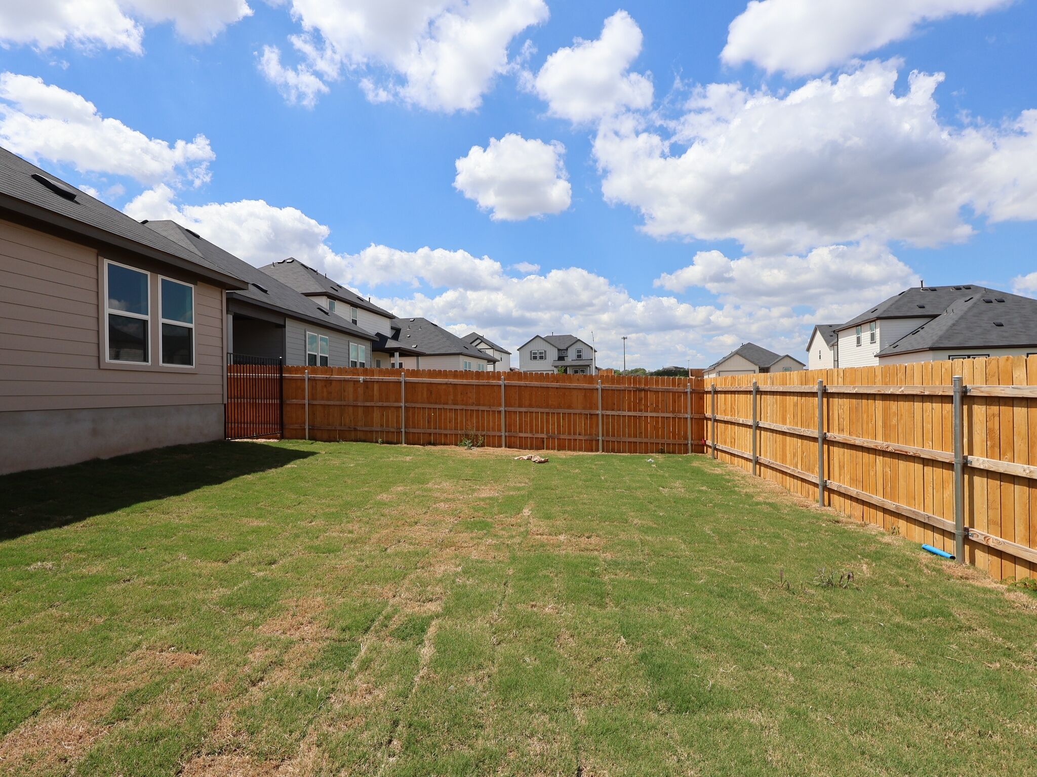 Backyard