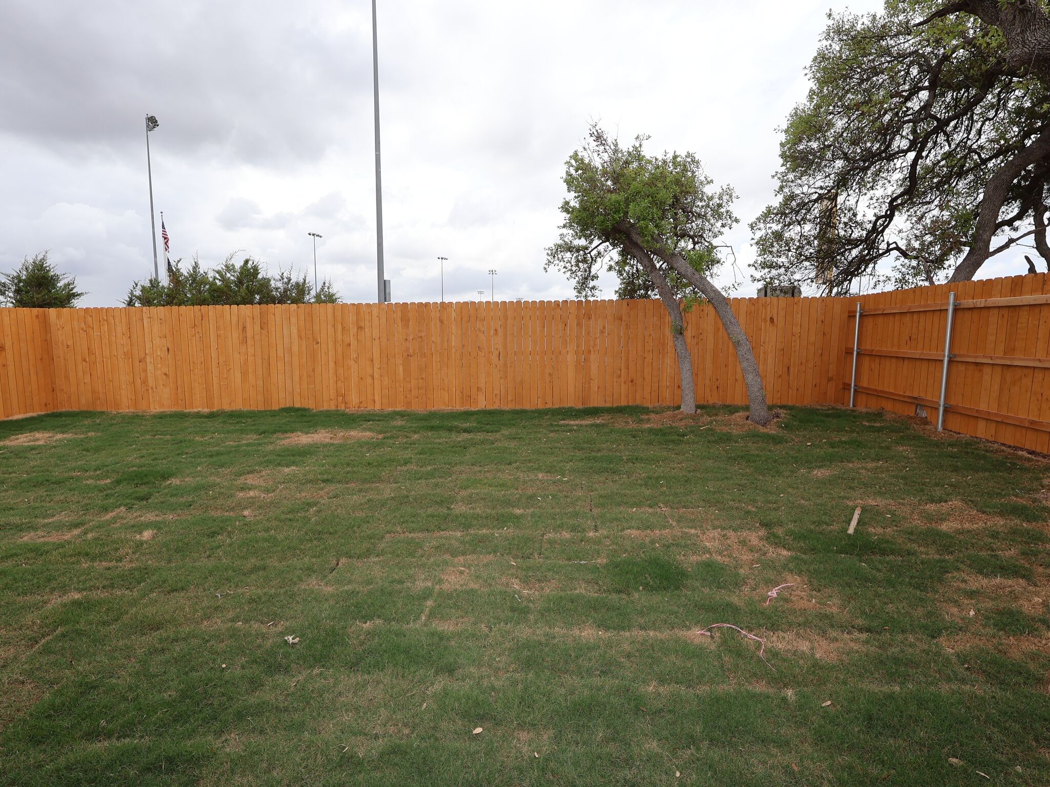Backyard