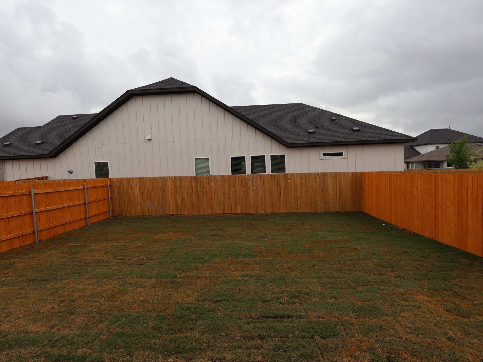 Backyard