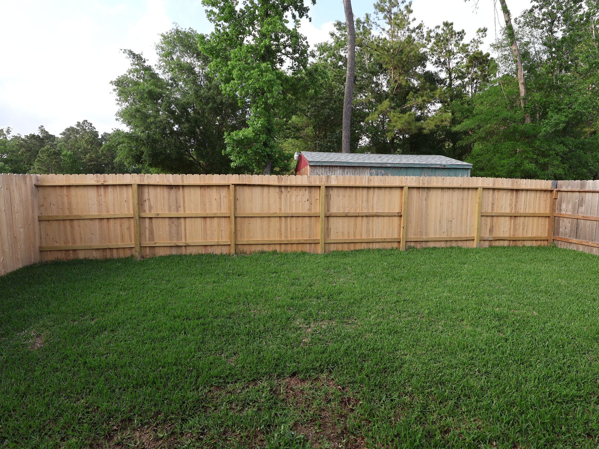 Backyard