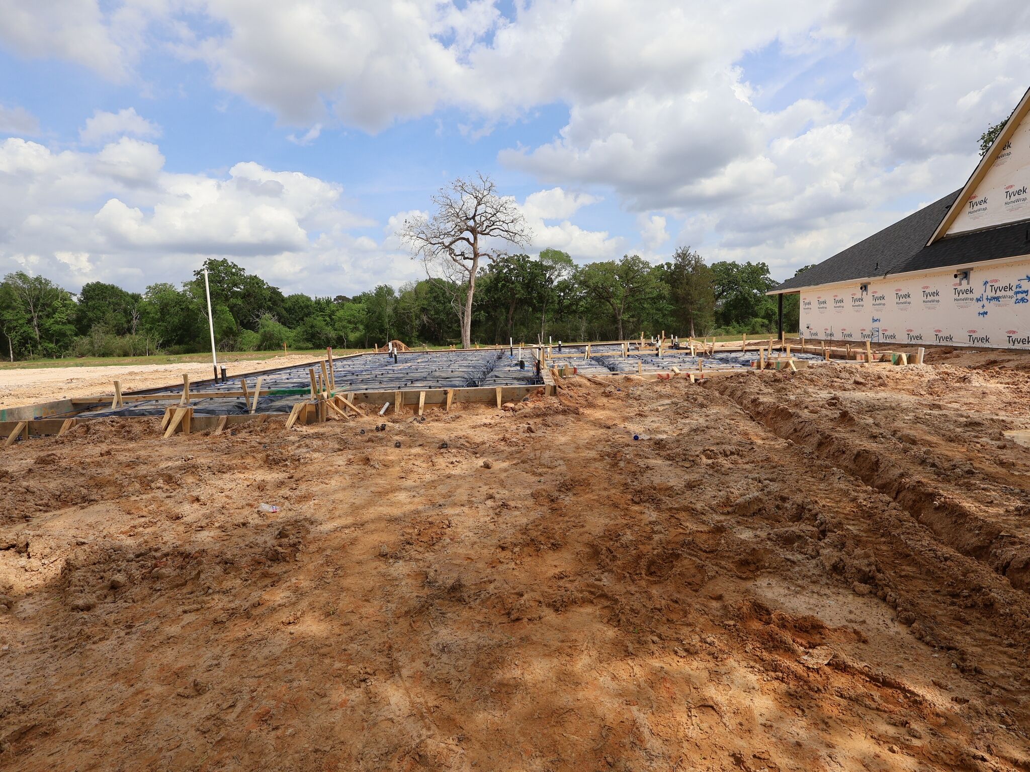Homesite