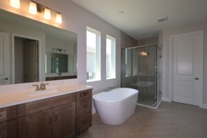 Owner's Bathroom