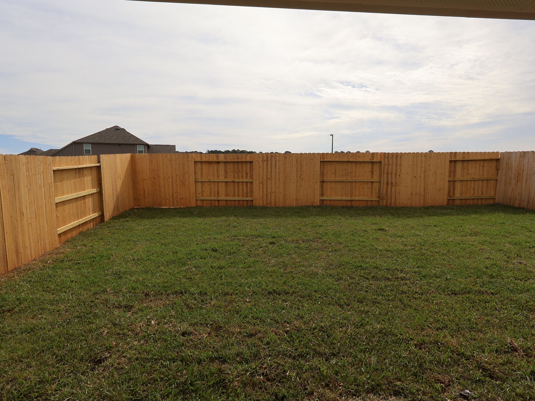 Backyard