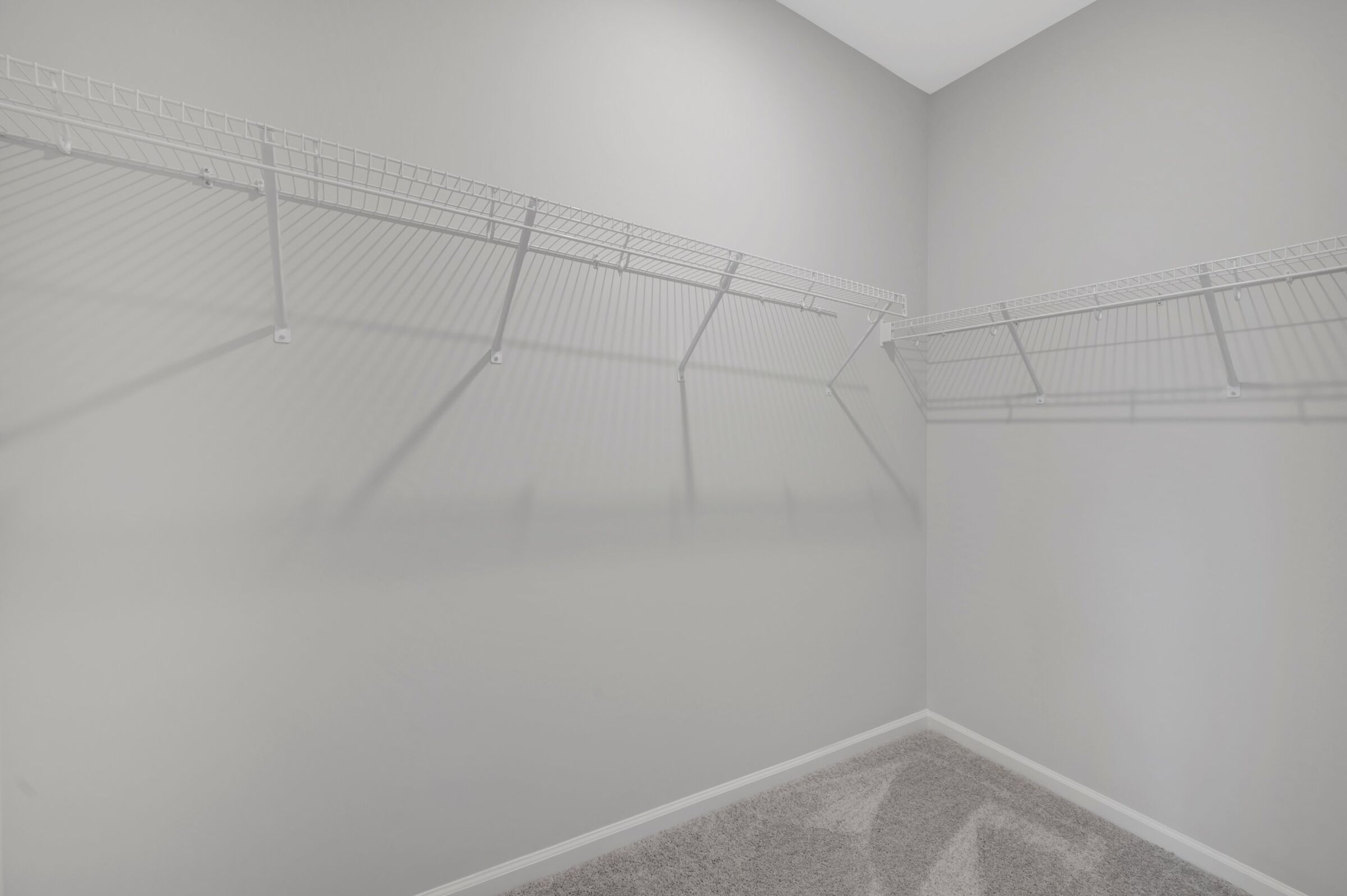 Owner's Closet