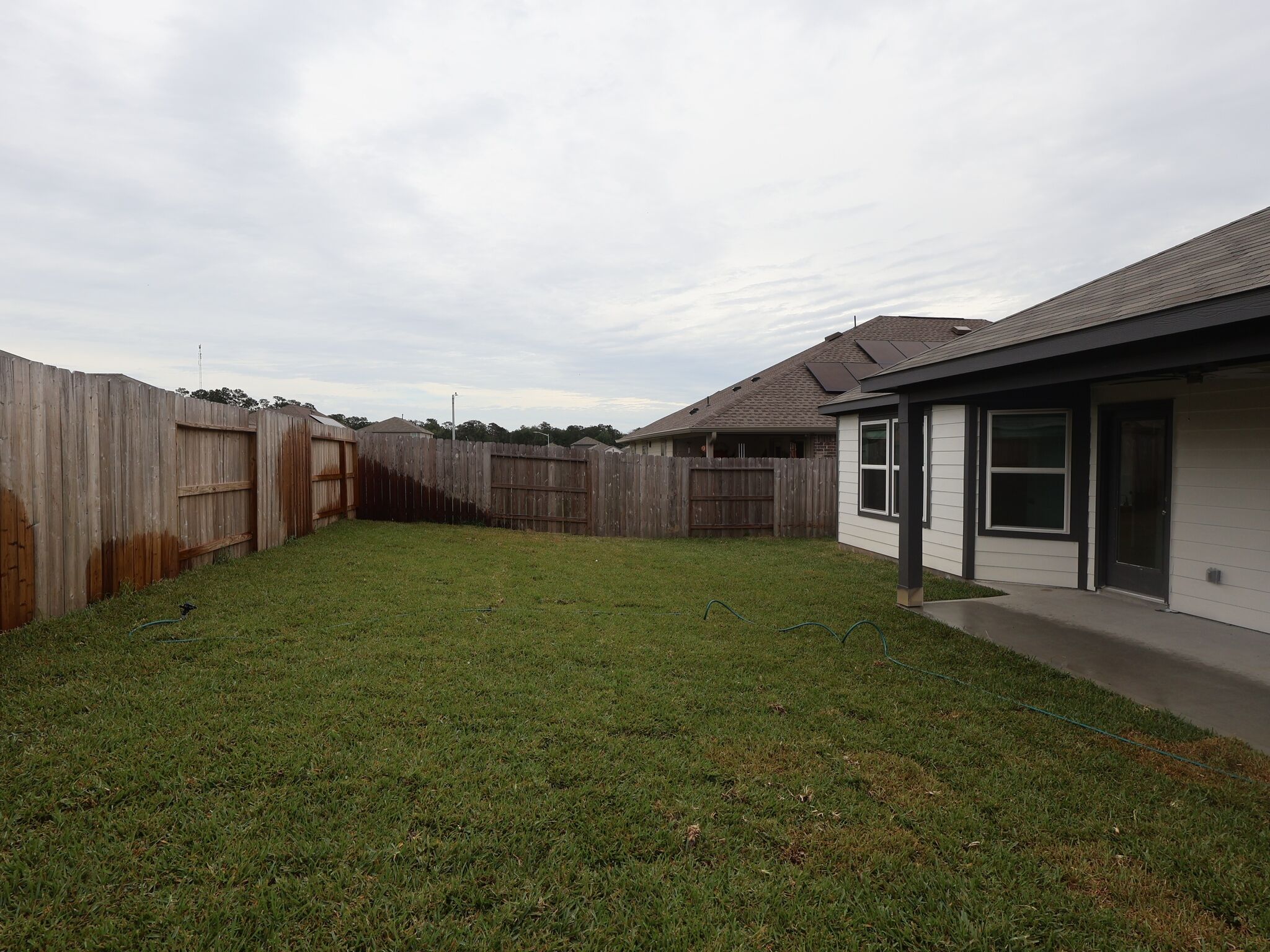 Backyard