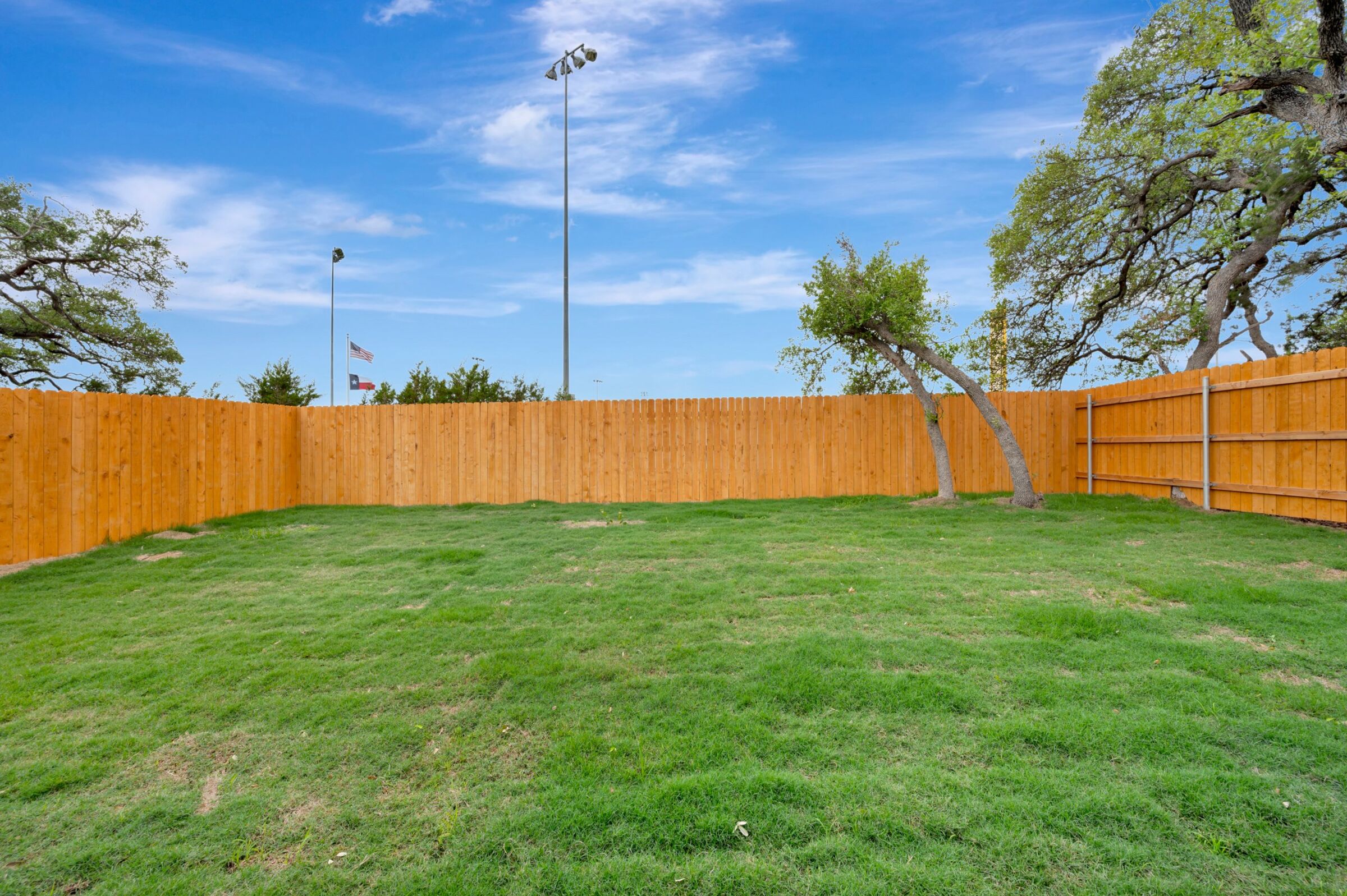 Backyard