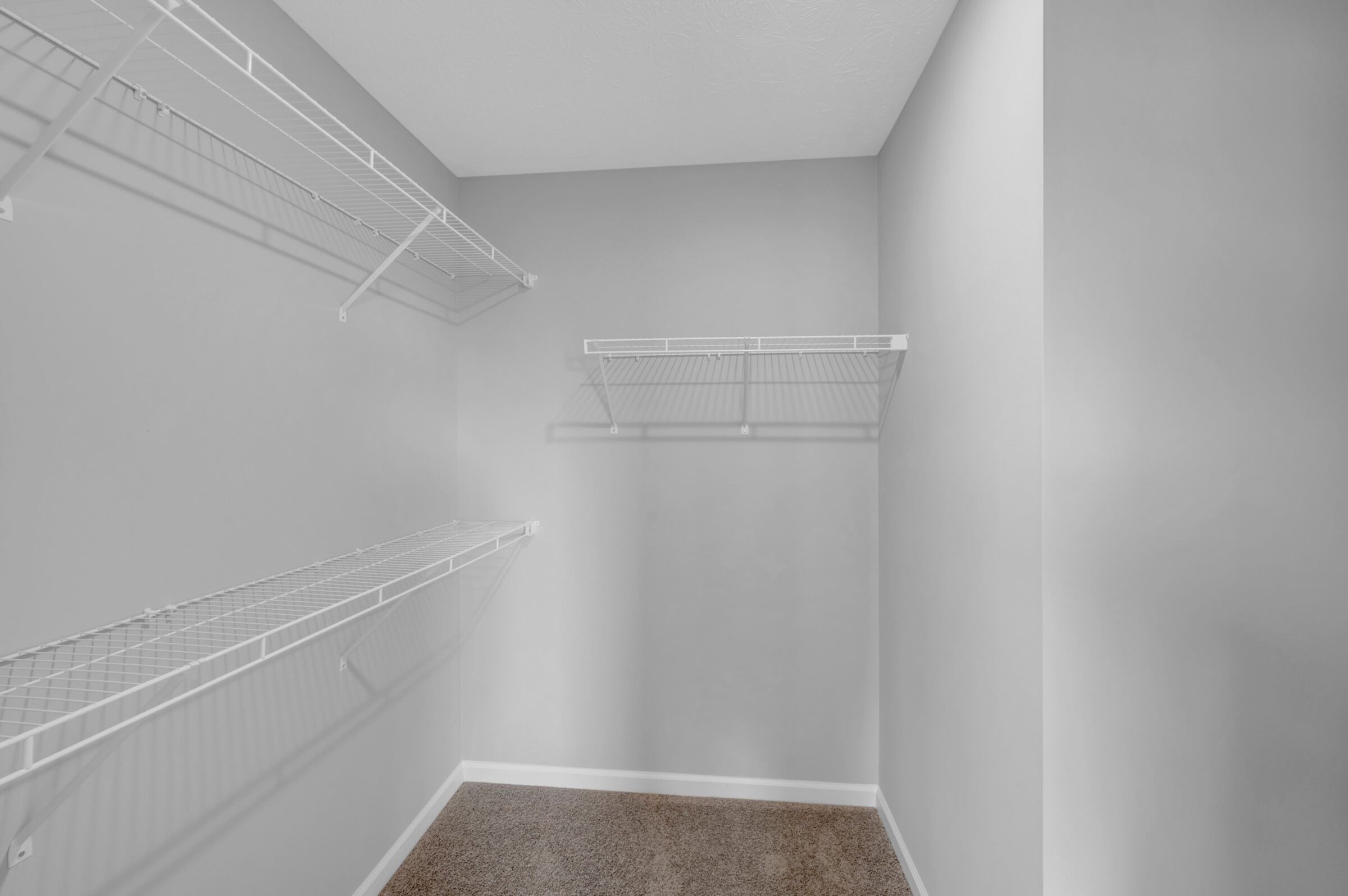 Owner's Closet