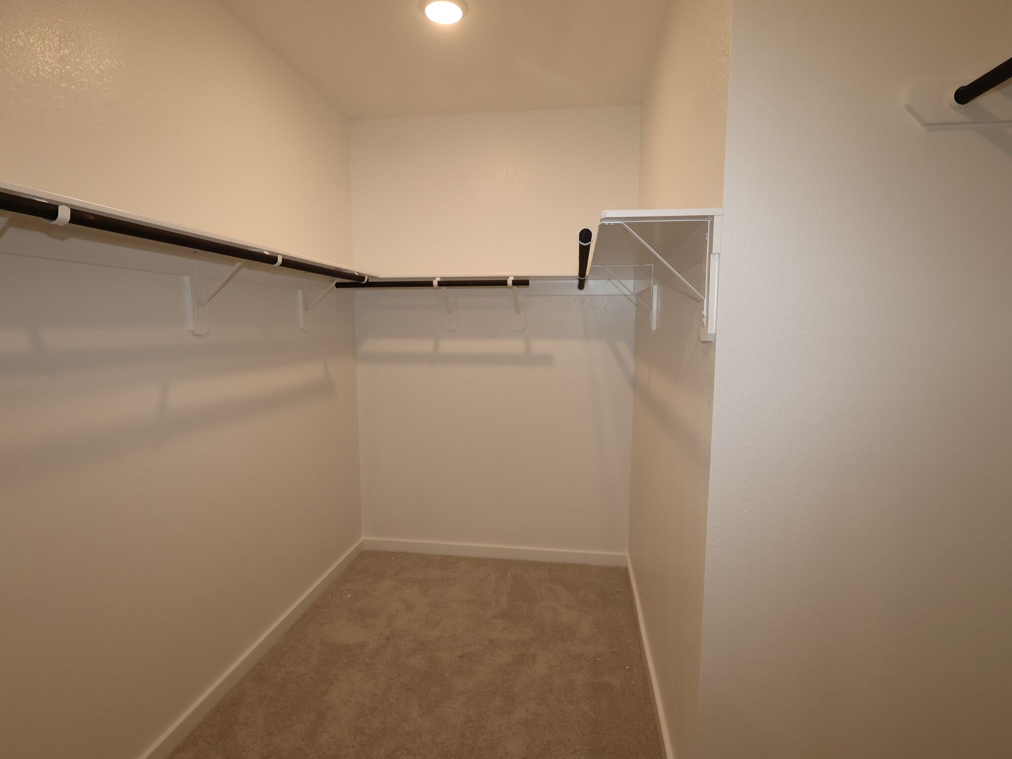 Owner's Closet