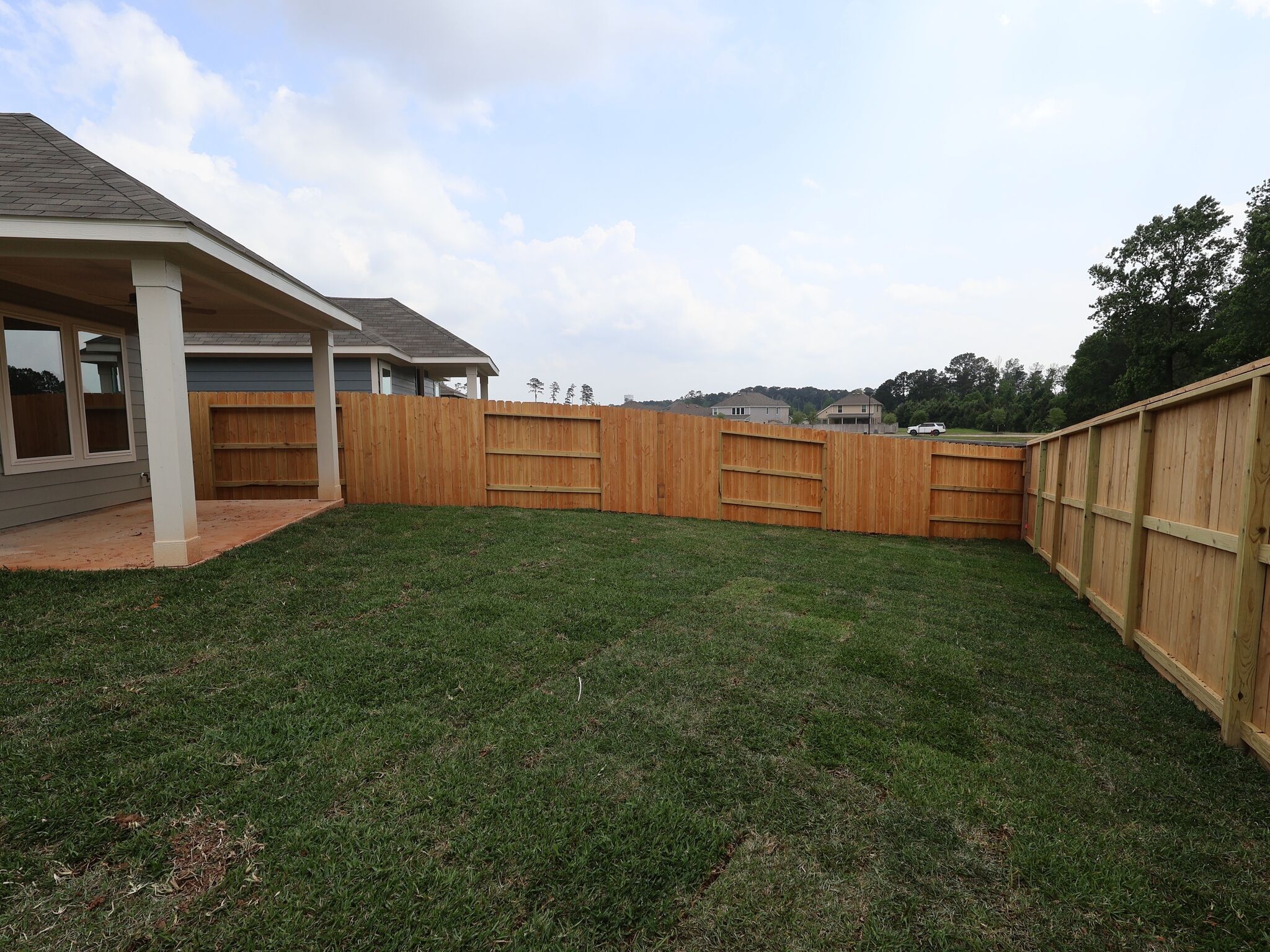 Backyard