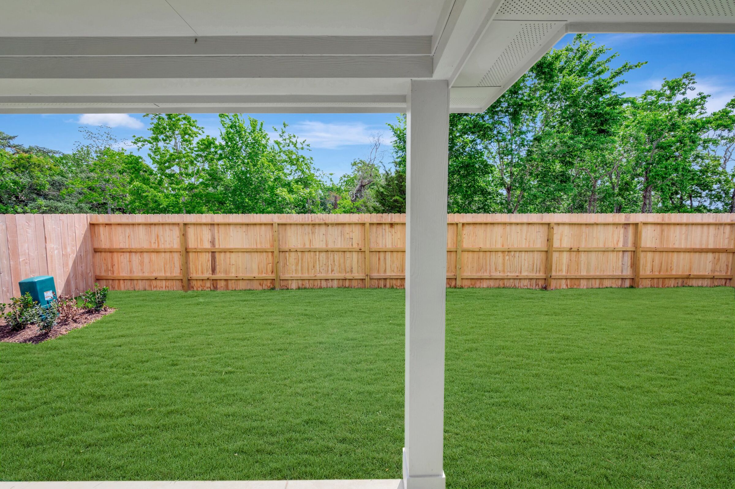 Backyard