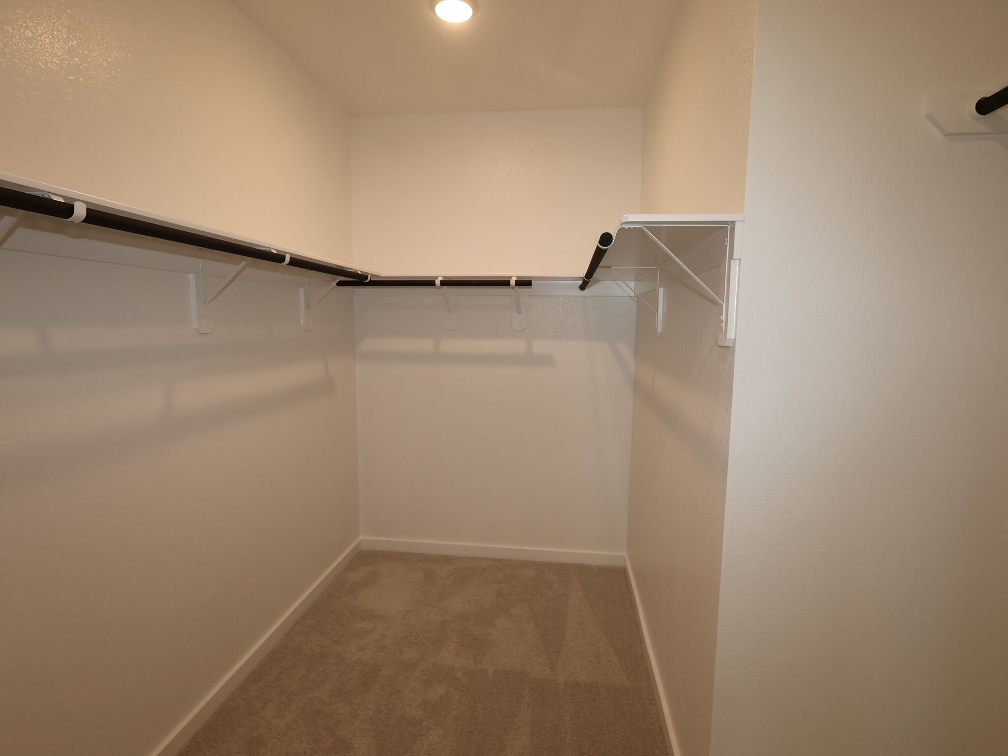 Owner's Closet