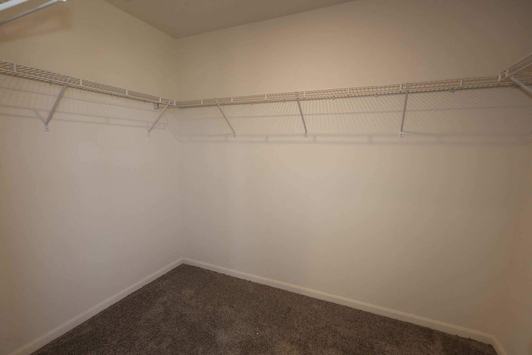 Owner's Closet