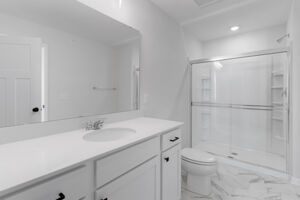 Owner's Bathroom