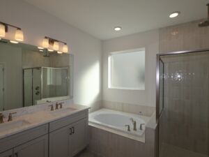 Owner's Bathroom
