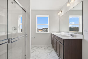 Owner's Bathroom