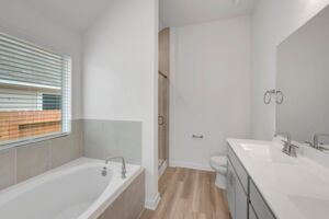 Owner's Bathroom