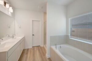 Owner's Bathroom