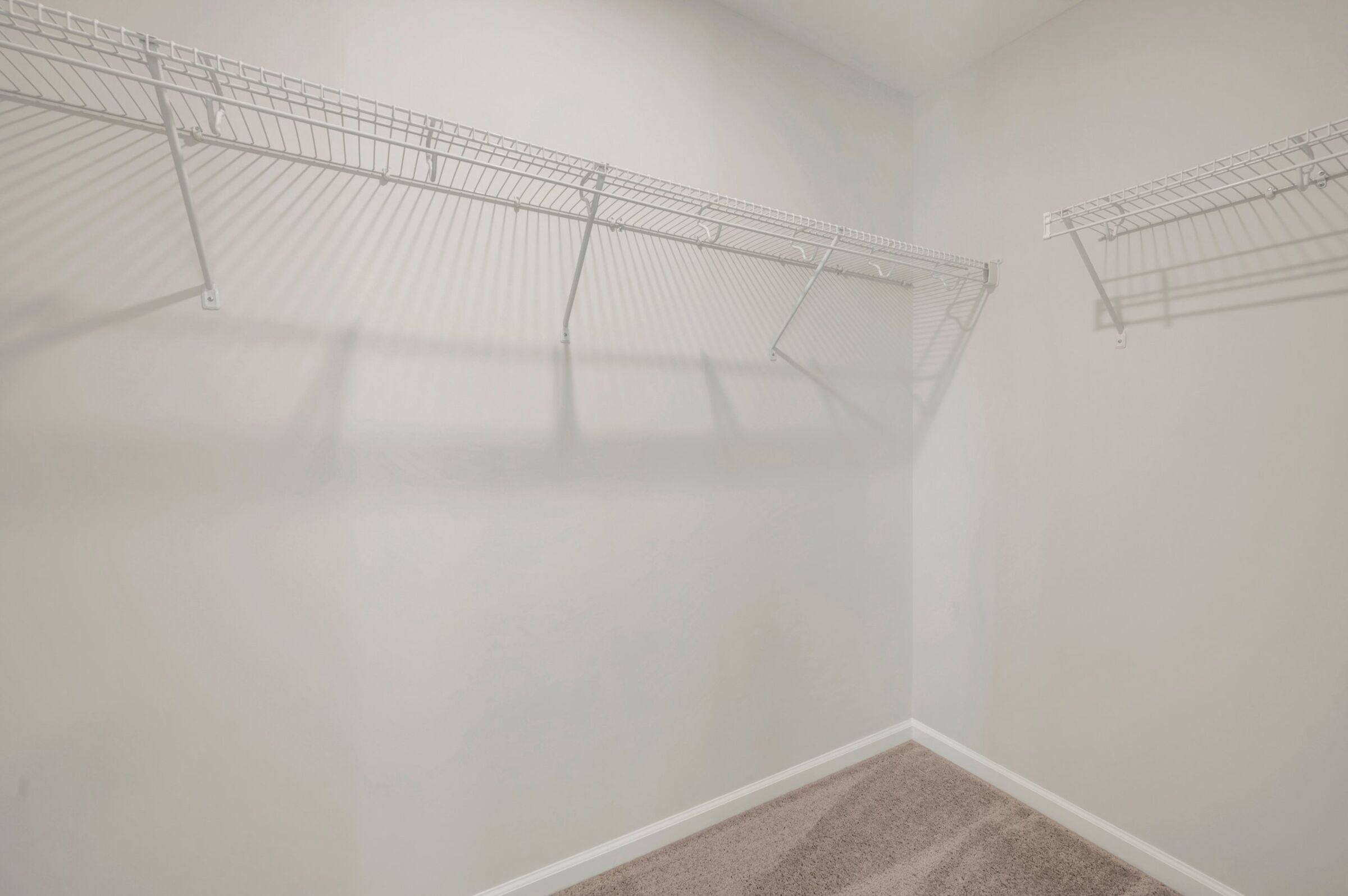 Owner's Closet