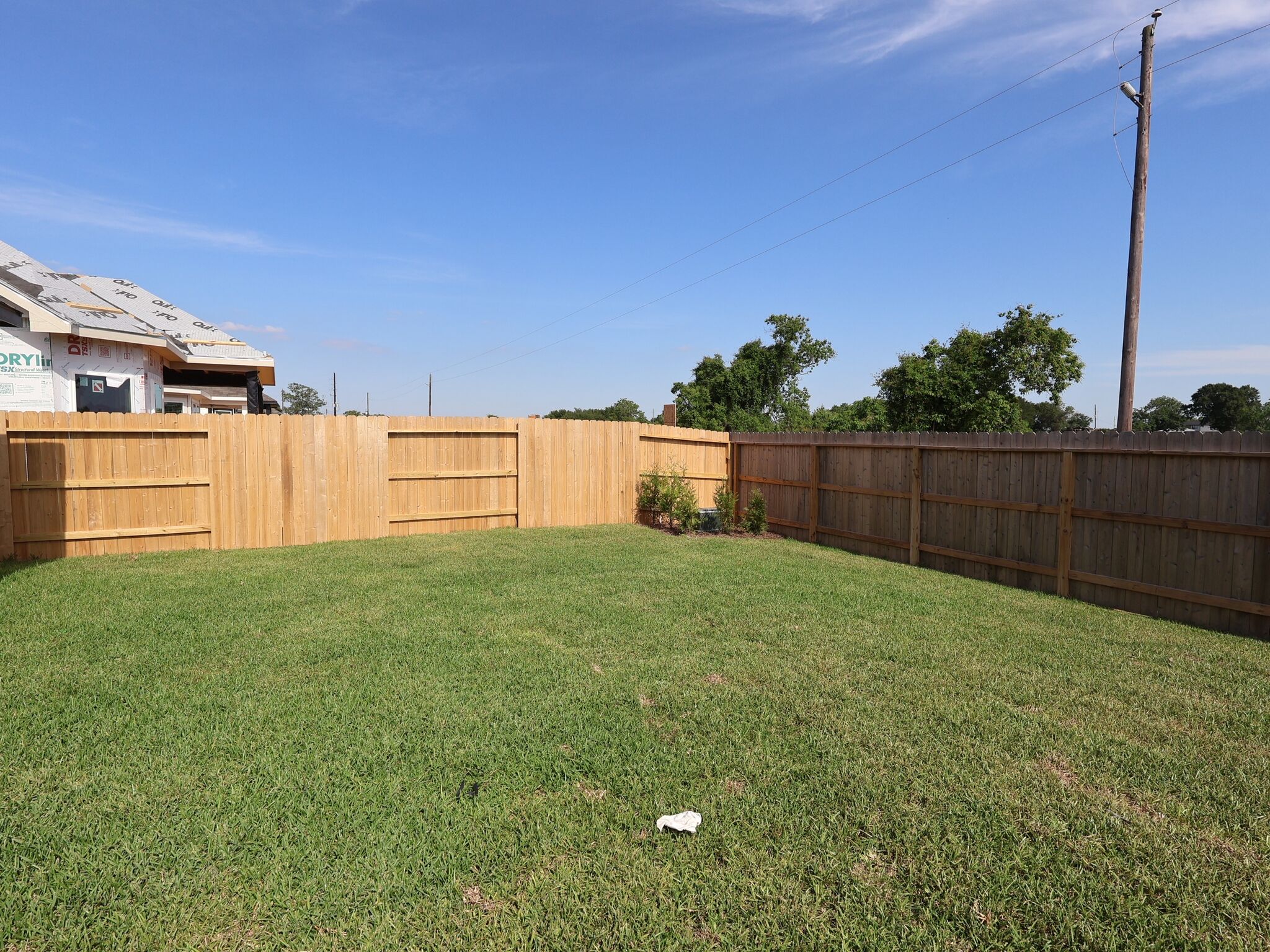 Backyard