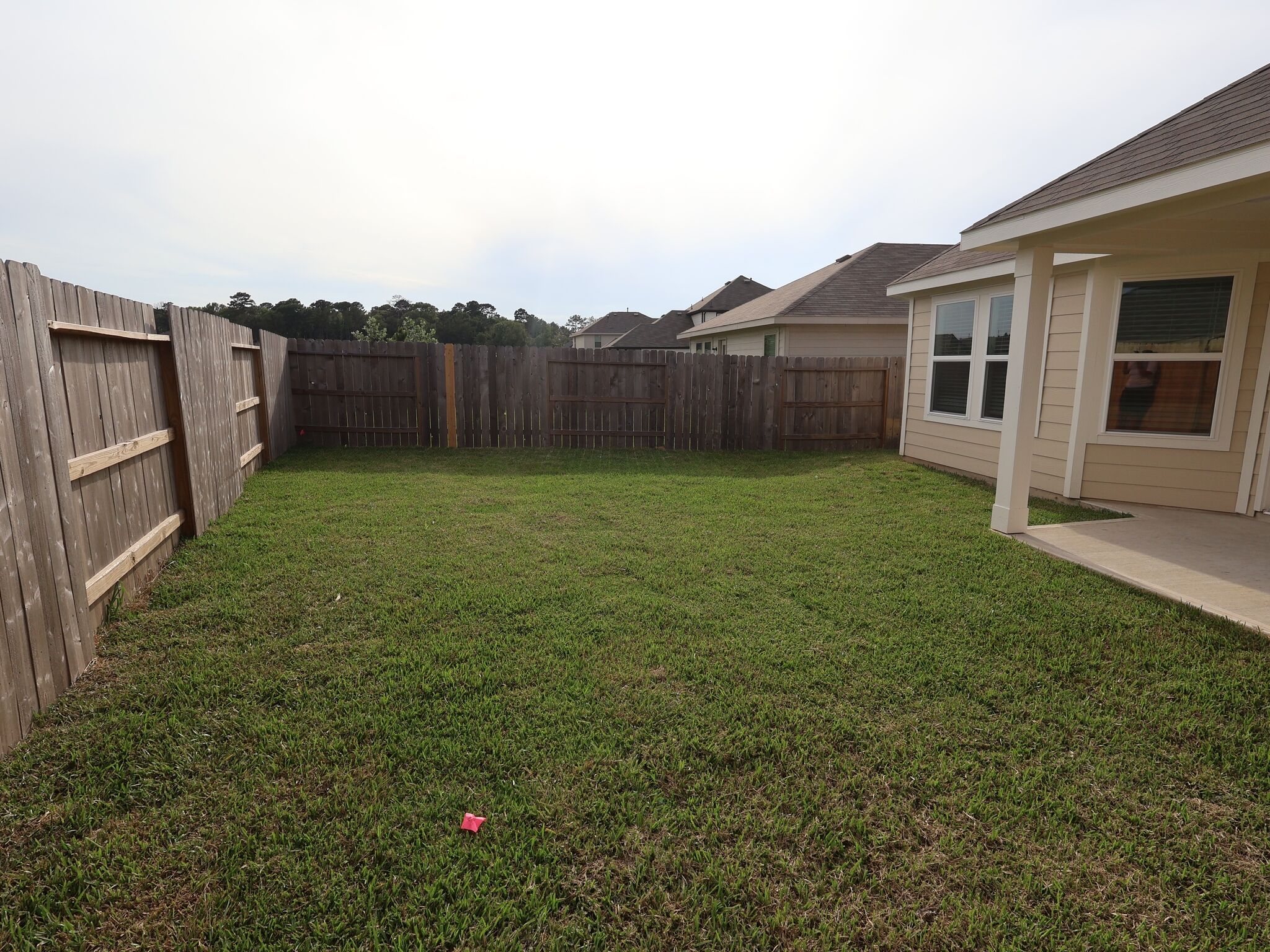 Backyard