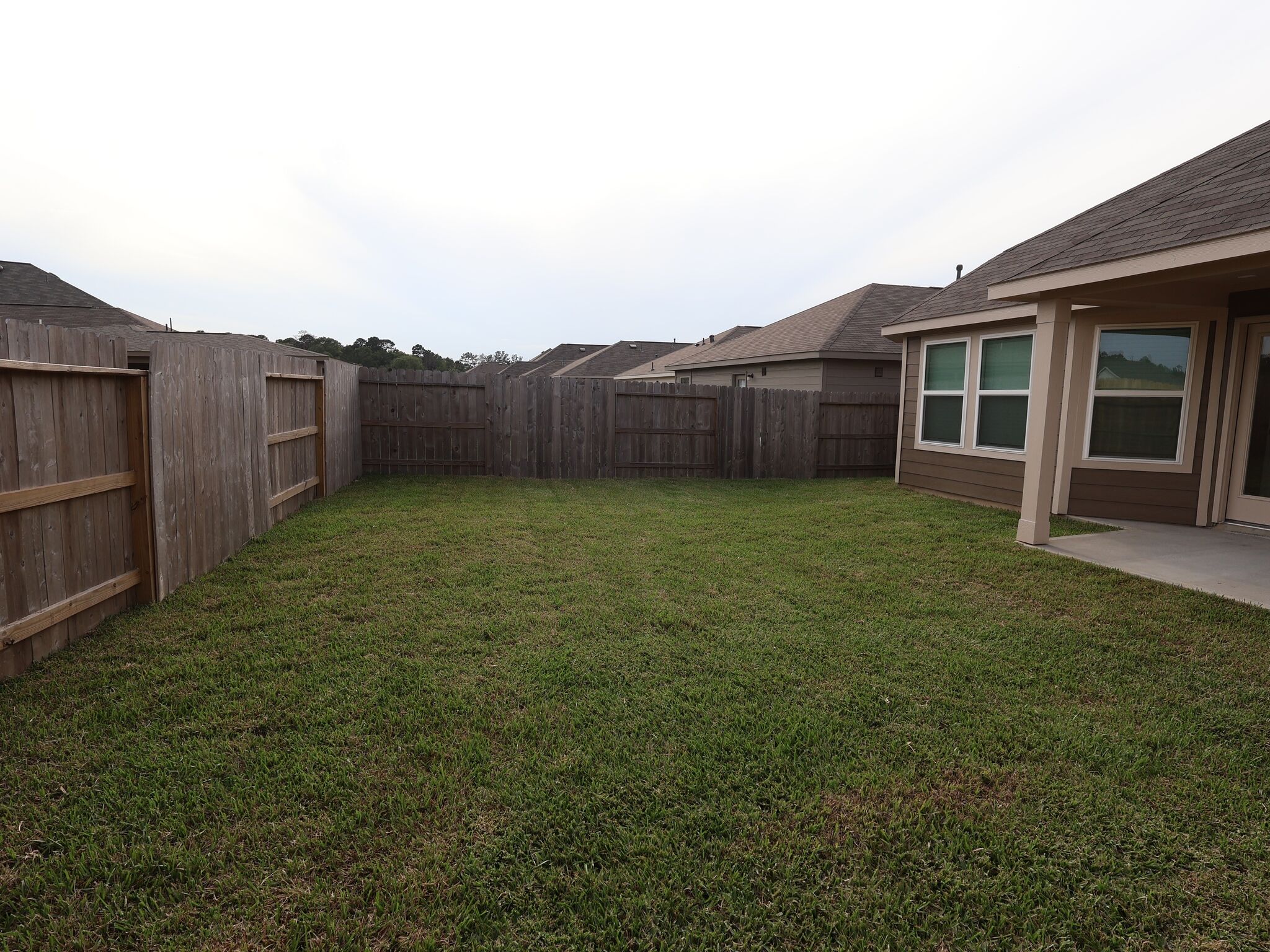 Backyard