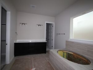 Owner's Bathroom