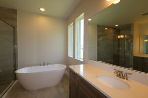 Owner's Bathroom