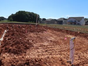 Homesite
