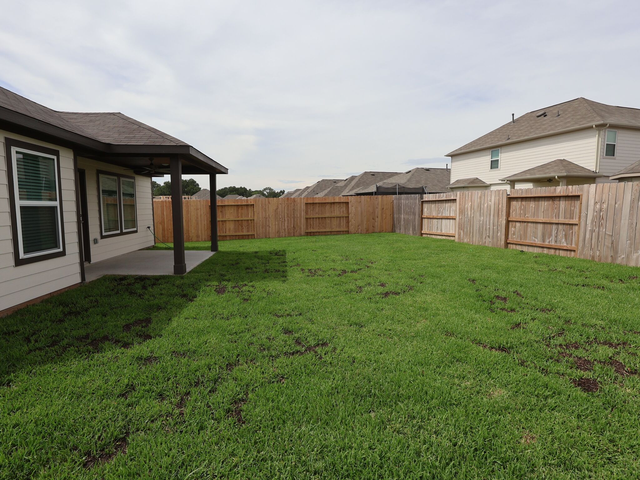 Backyard