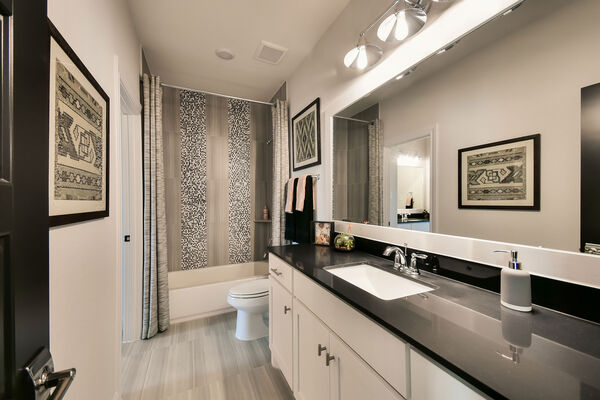 [Modern Bathroom With Black Countertops]