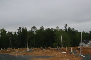 Homesite