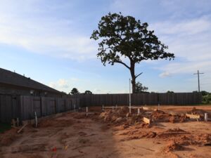 Homesite
