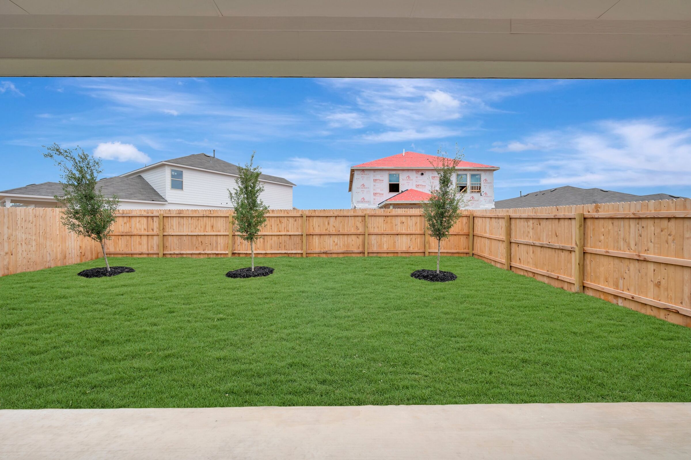 Backyard