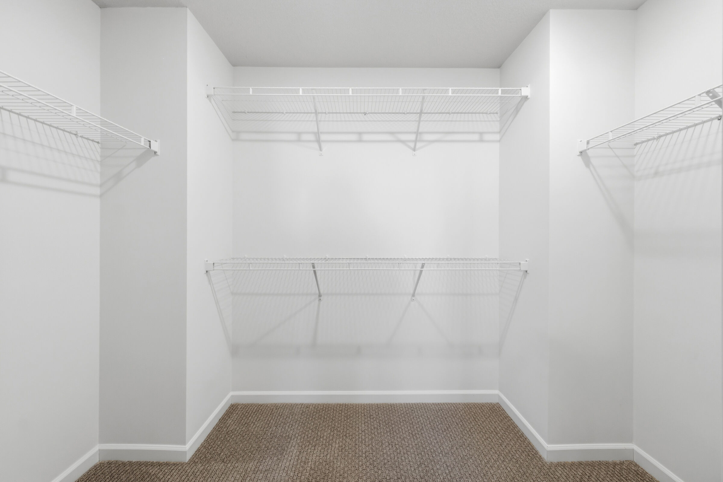 Owner's Closet