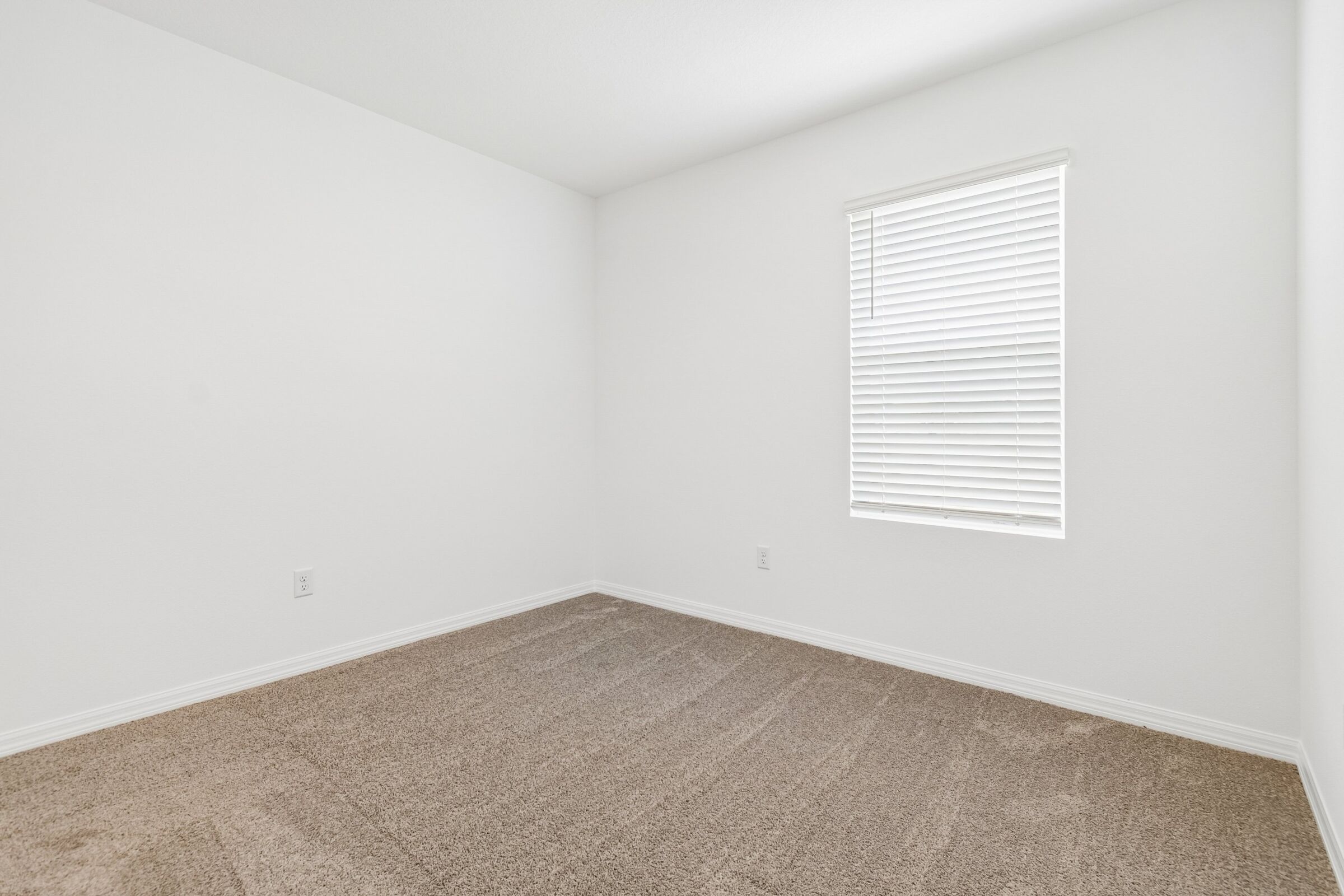 Owner's Closet