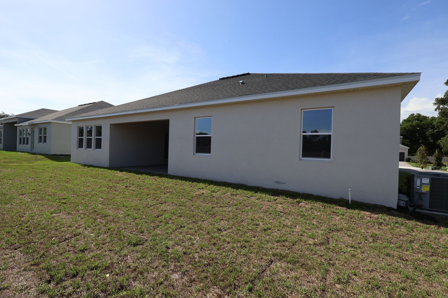 Back Exterior