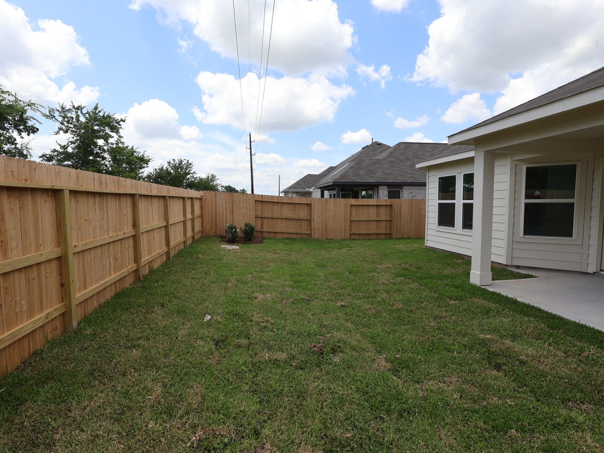 Backyard