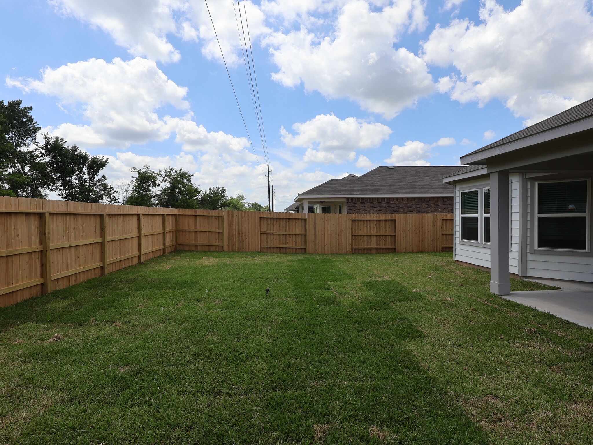 Backyard