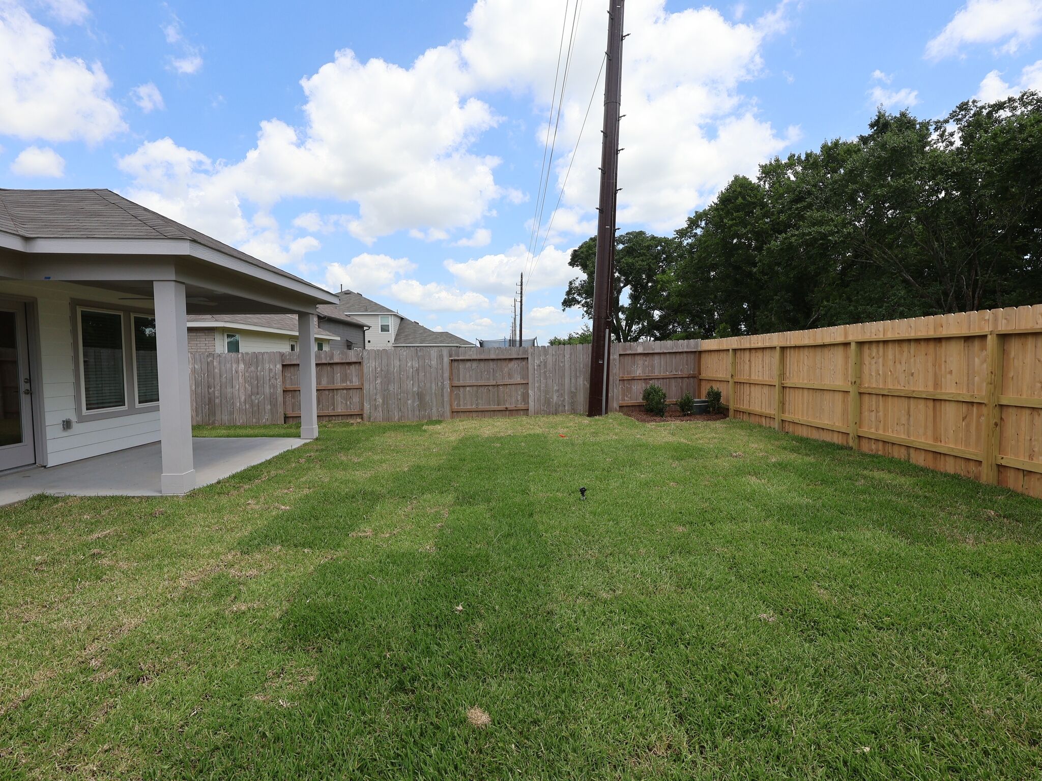 Backyard