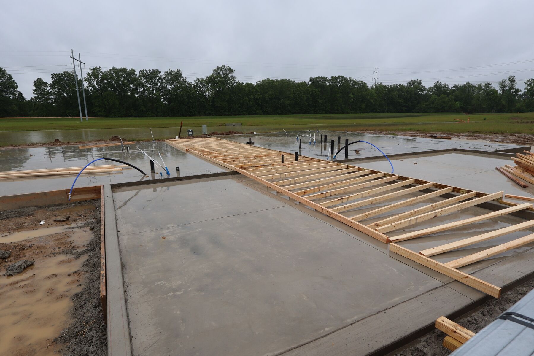 Homesite
