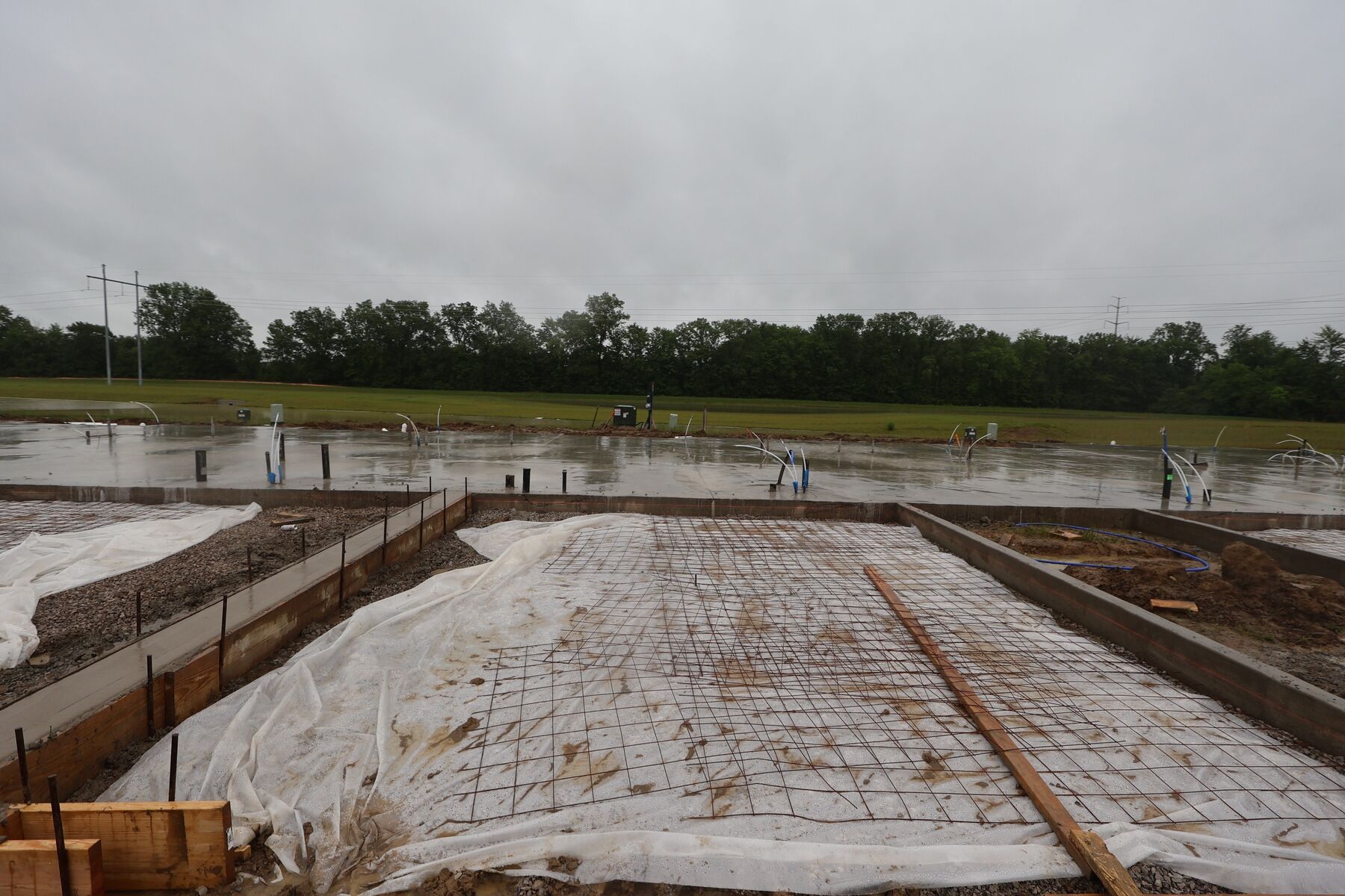 Homesite