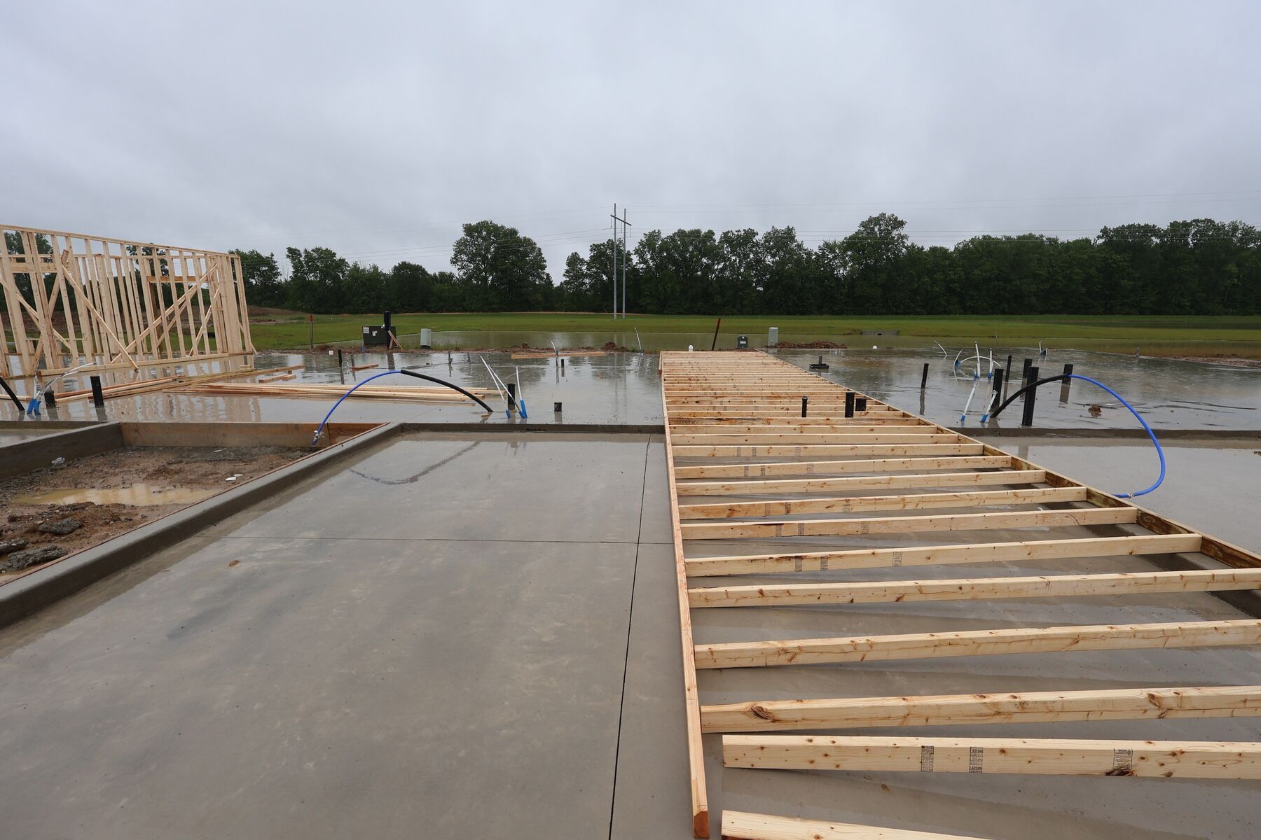 Homesite