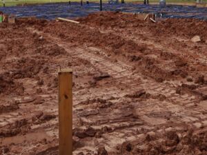Homesite