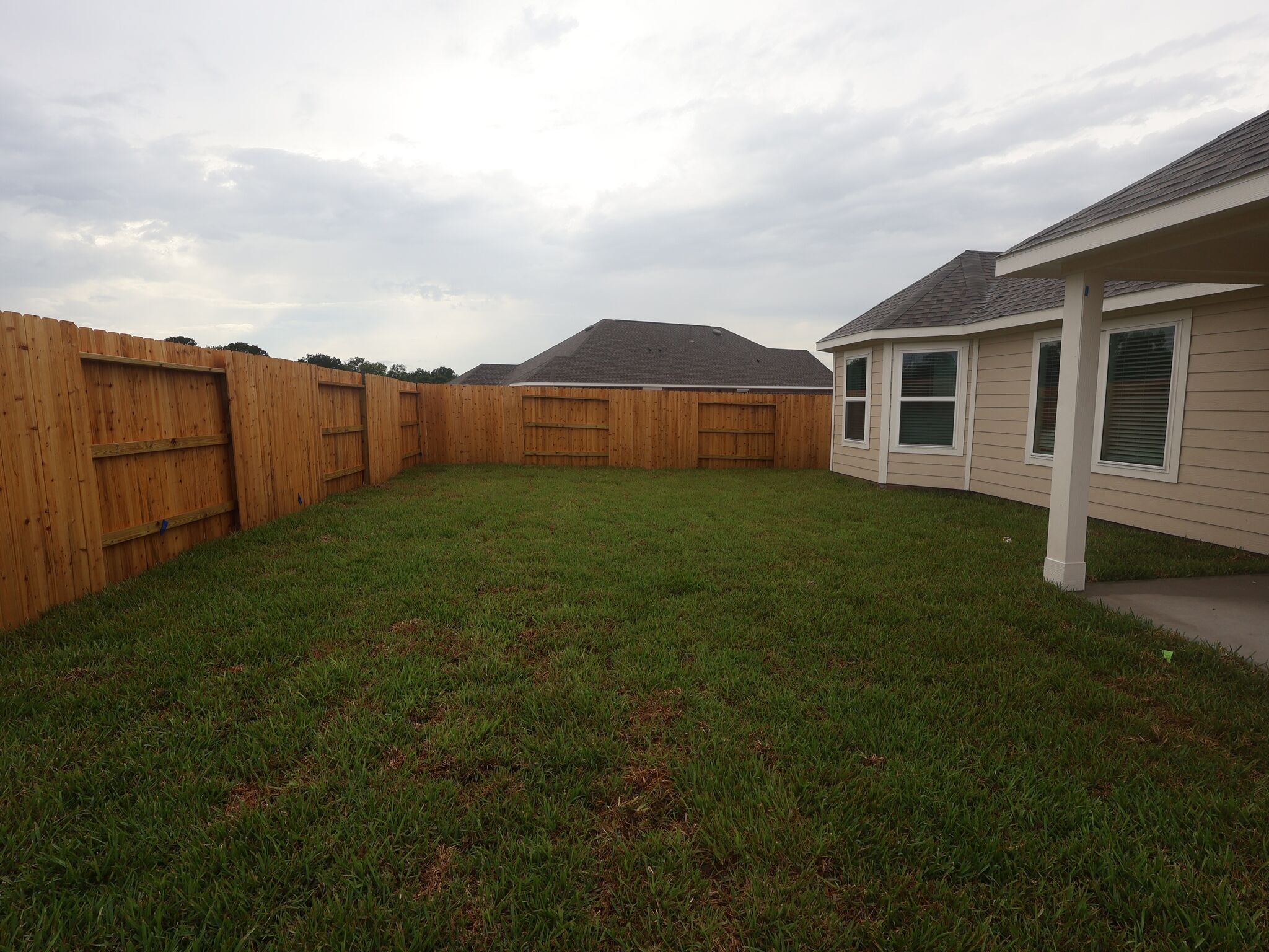 Backyard